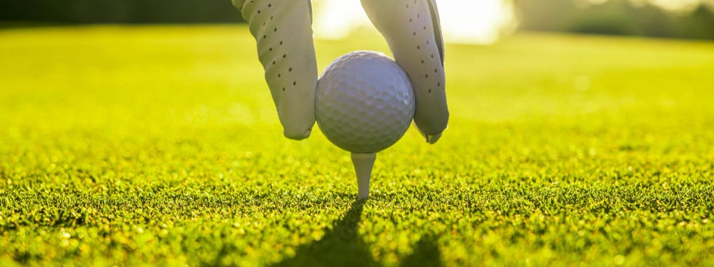 Gloved hand setting a golf ball on a tee