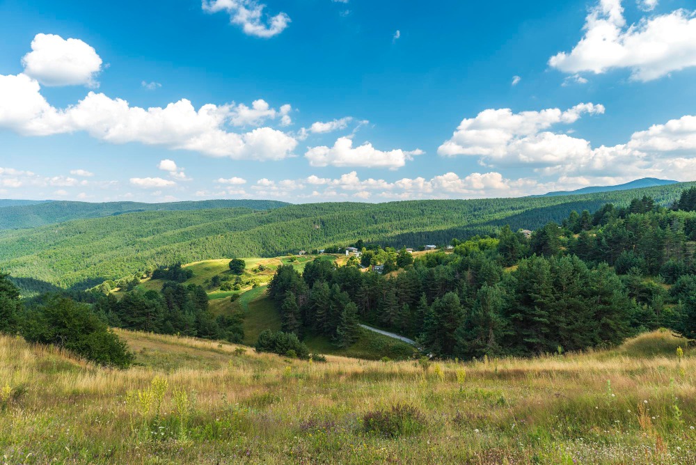 Buying Land in Lane County, Oregon: 8 Key Considerations