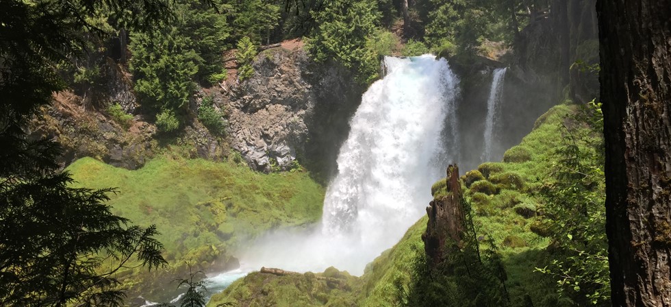 Sahalie Falls plunging through a forested canyon