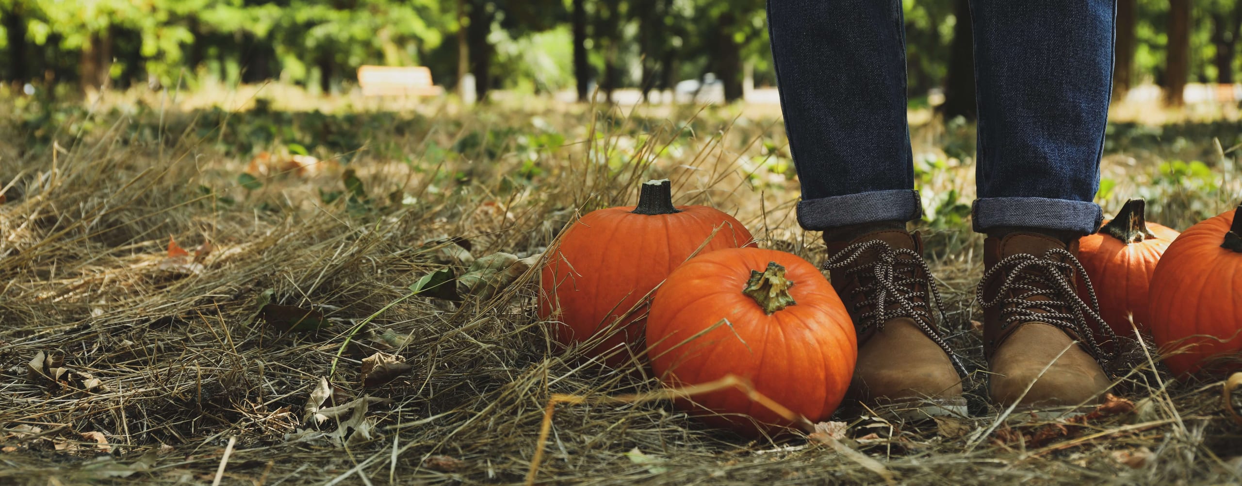 Boots standing among pumpkins on dry grass
