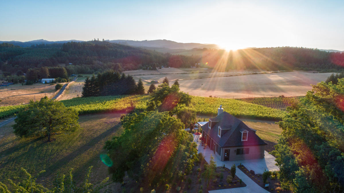 Aerial view of Walnut Ridge Vineyard at sunset near Junction City