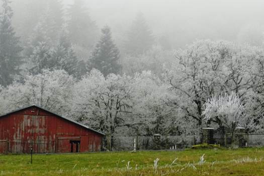 Homes for sale in Coburg, Oregon