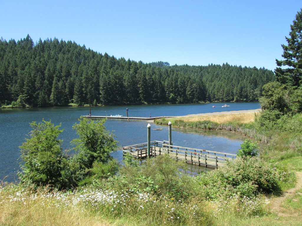 Cooper Creek Reservoir near Sutherlin, Oregon, with a small dock, tree-lined shoreline, and calm blue water on a clear summer day.